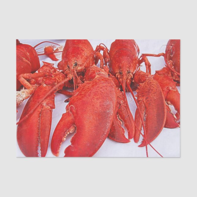 Nautical Ocean Red Lobster Tissue Paper (Front)