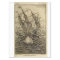 Nautical Octopus Boat Ephemera Decoupage Ship