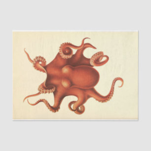 Nautical Octopus Ephemera Decoupage Red Tissue Paper