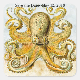 Nautical Octopus Kraken Squid Save the Date Square Sticker
