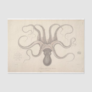 Nautical Octopus Script Ephemera Decoupage Tissue Paper