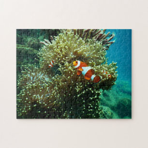 Nautical Photos Marine Animal Photography Fish Pic Jigsaw Puzzle