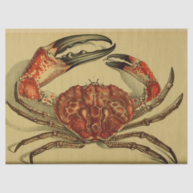 Nautical Red Crab Ephemera Decoupage Tissue Paper (Front)