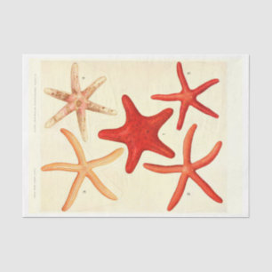 Nautical Red Starfish Ephemera Decoupage Tissue Paper