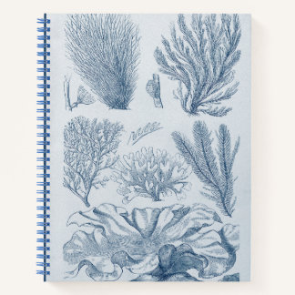 Nautical Sealife Notebook