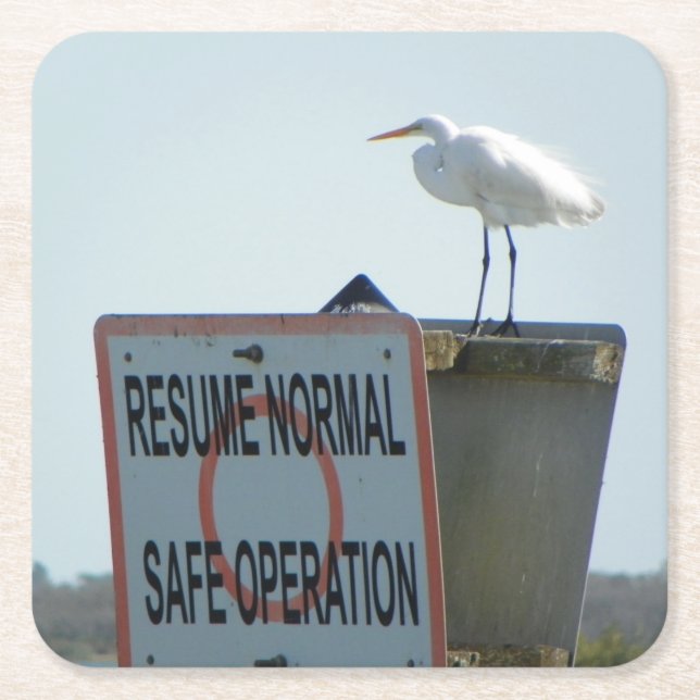 Nautical Sign Coasters (Front)