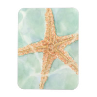 Nautical Starfish in Water