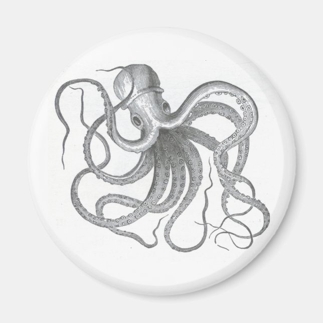Nautical steampunk octopus vintage design magnet (Front)