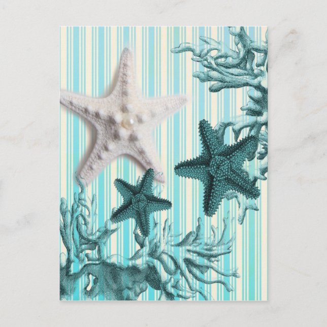 nautical stripes aqua blue starfish seashells postcard (Front)