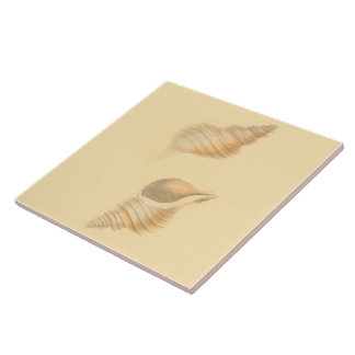 Nautical Theme Ceramic Tiles Sea Shells