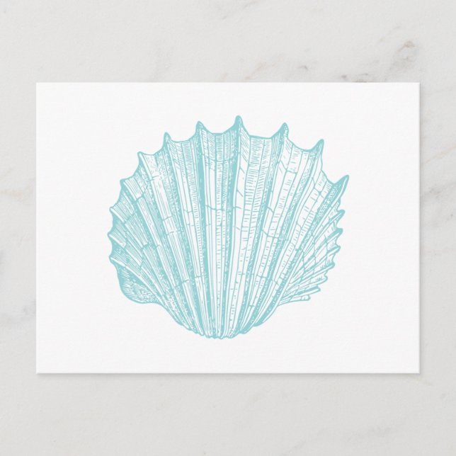 Nautical Vintage Marine Seashell Invitation Postcard (Front)