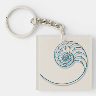 Nautilus 2 key ring