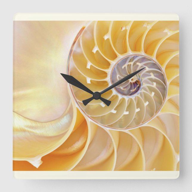 Nautilus Acrylic Wall Clock (Front)