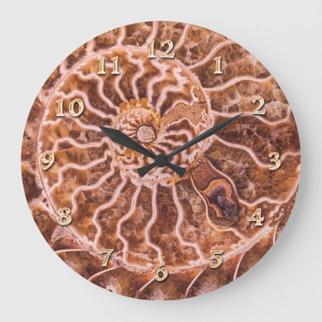 NAUTILUS ANCIENT SPIRAL LARGE CLOCK (Front)
