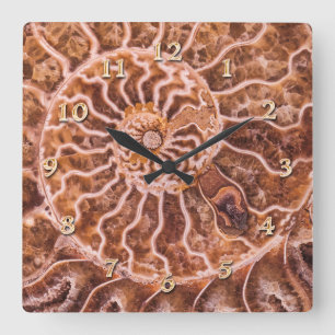 NAUTILUS ANCIENT SPIRAL SQUARE WALL CLOCK
