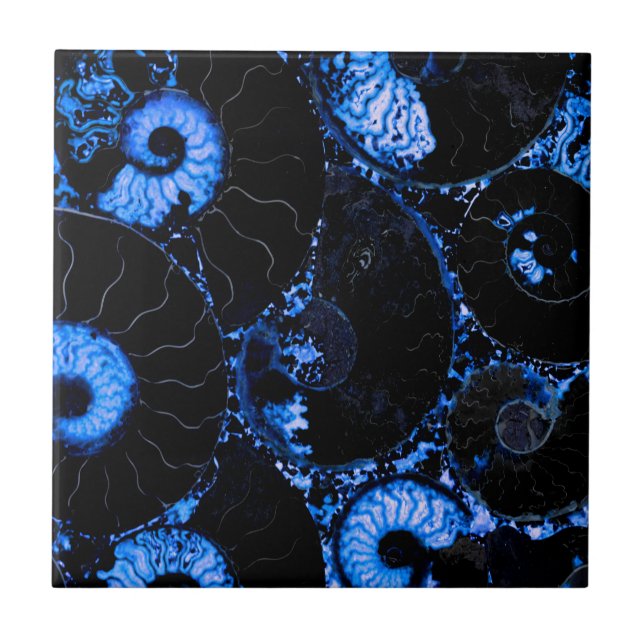 Nautilus blue shell design ceramic tile (Front)