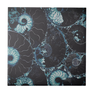 Nautilus midnite blue shell design ceramic tile