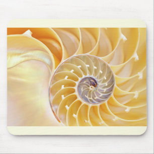 Nautilus mouse pad