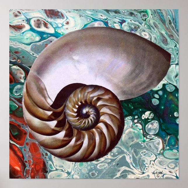 Nautilus, Nautilus Print, Art, Nautilus  Poster (Front)