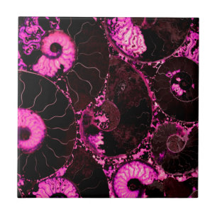 Nautilus pink shell design tile