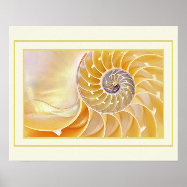 Nautilus Poster (Front)