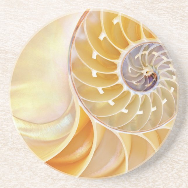 Nautilus Sandstone Coaster (Front)