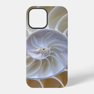 Nautilus Sea Shell Photograph iPhone Case