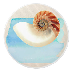 Nautilus Seashell and Sand  Ceramic Knob