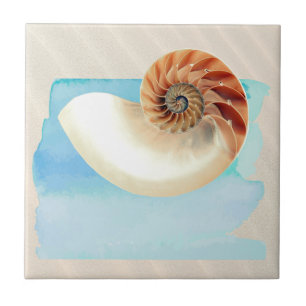 Nautilus Seashell and Sand Ceramic Tile