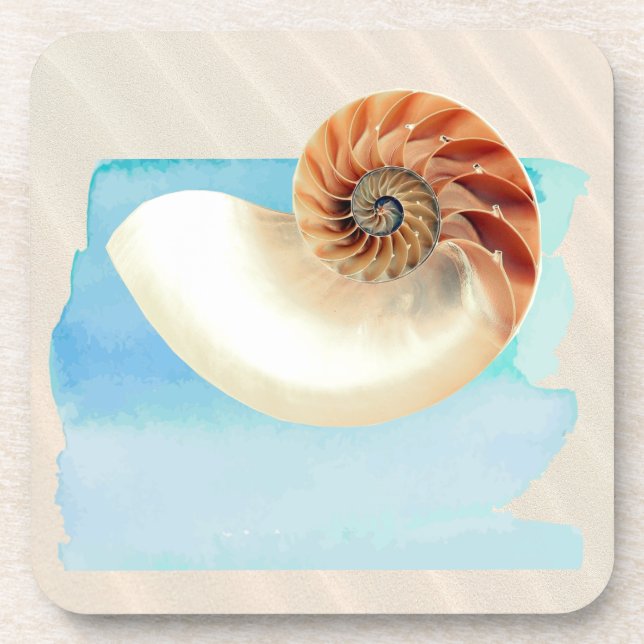 Nautilus Seashell and Sand  Coaster (Front)