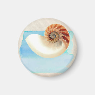 Nautilus Seashell and Sand Magnet