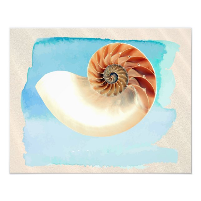 Nautilus Seashell and Sand Photo Print (Front)