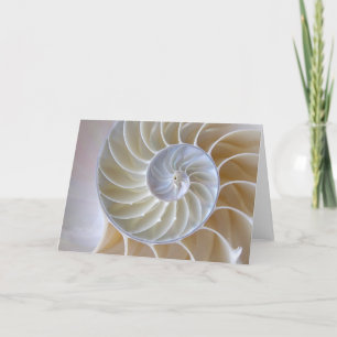 Nautilus Seashell Golden Spiral Card
