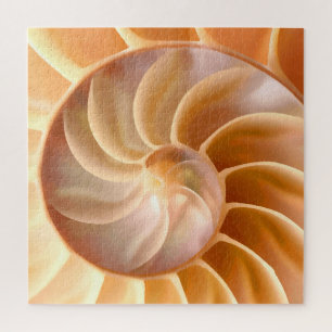 Nautilus Seashell Nature Theme Puzzles For Adults
