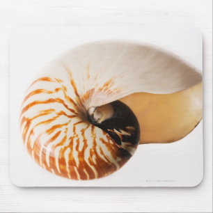 Nautilus seashell (Nautilus stenomphalus) Mouse Pad