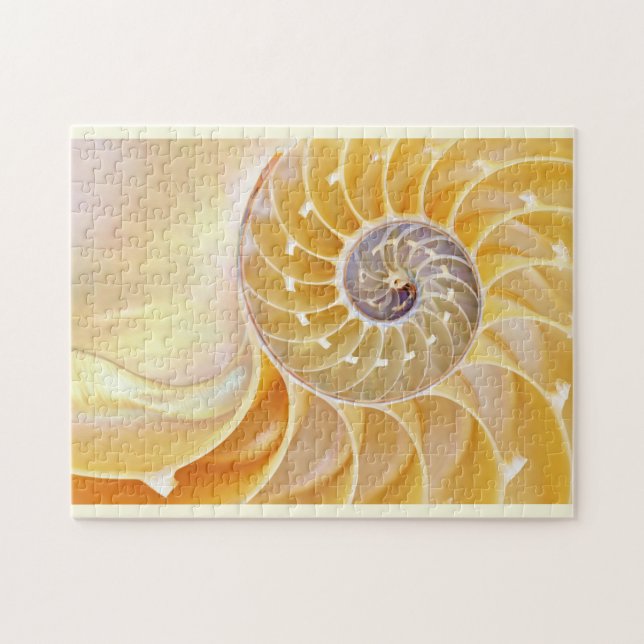 Nautilus Seashell Puzzle (Horizontal)