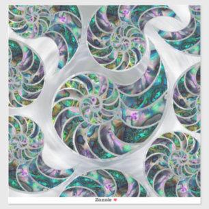 Nautilus Shell Abalone and Pearl