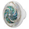 Nautilus Shell - Abalone and Pearl