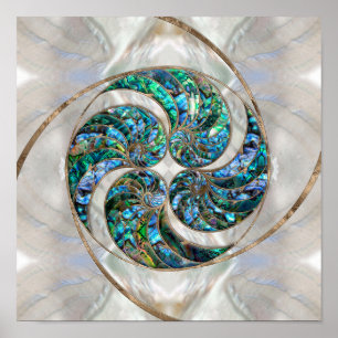 Nautilus Shell - Abalone and Pearl Poster