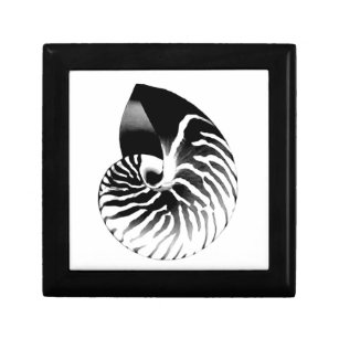 Nautilus shell - black, grey and white gift box