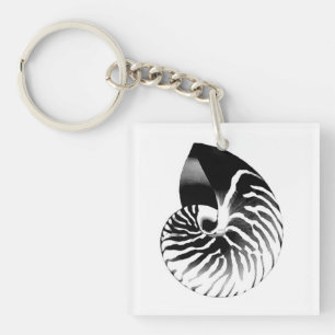 Nautilus shell - black, grey and white key ring