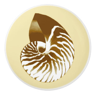 Nautilus shell - brown, white and beige ceramic knob