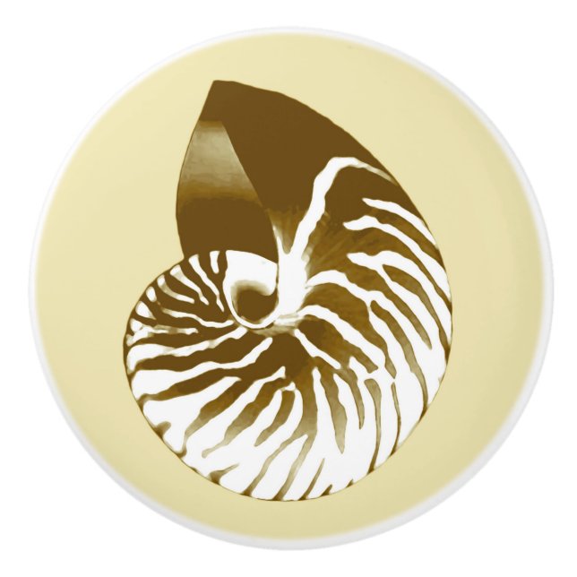 Nautilus shell - brown, white and beige ceramic knob (Front)