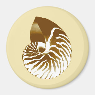 Nautilus shell - brown, white and beige magnet
