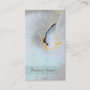 Nautilus Shell Business Card