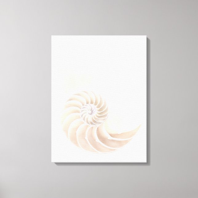 Nautilus shell, close-up canvas print (Front)