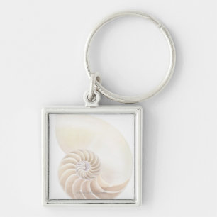 Nautilus shell, close-up key ring