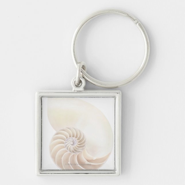 Nautilus shell, close-up key ring (Front)