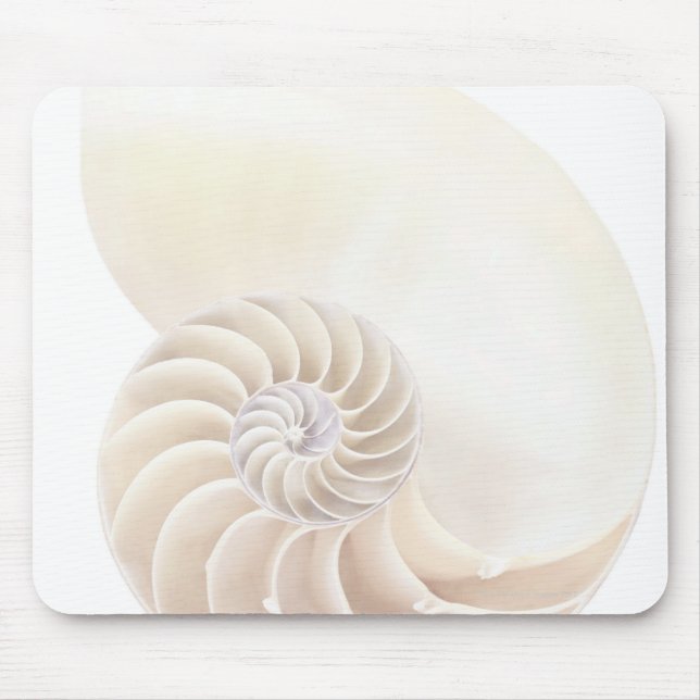 Nautilus shell, close-up mouse pad (Front)