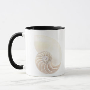 Nautilus shell, close-up mug